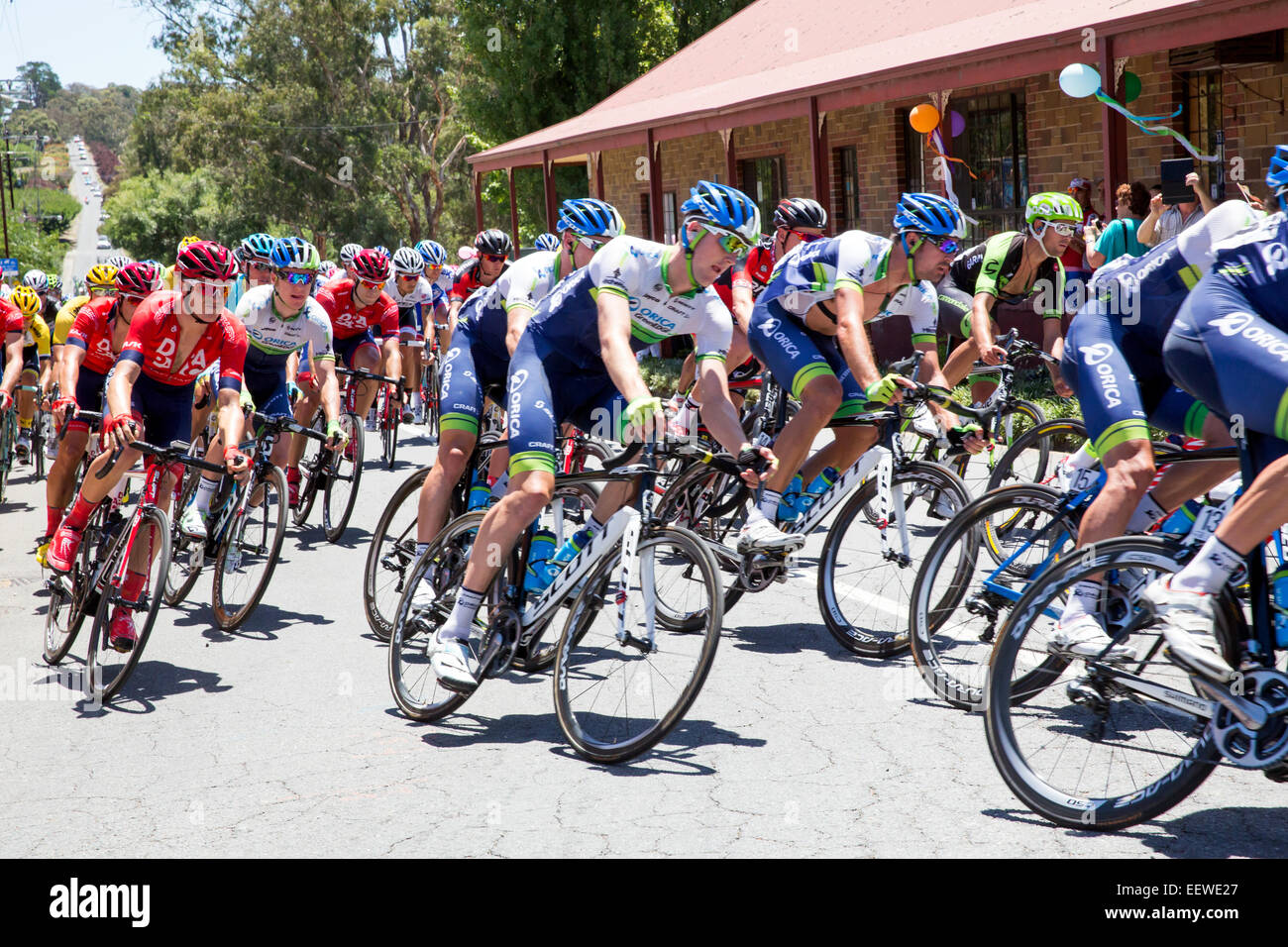 Adelaide, Australia. Il 22 gennaio, 2015. Piloti passando attraverso Woodside durante la fase 3 del 2015 Tour Down Under.Rohan Dennis (AUS) da BMC Racing Team è andato a vincere la tappa. Foto Stock