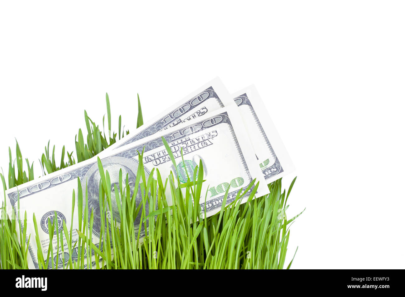 100 le fatture del dollaro crescente nell'erba verde, il concetto di finanziamento Foto Stock