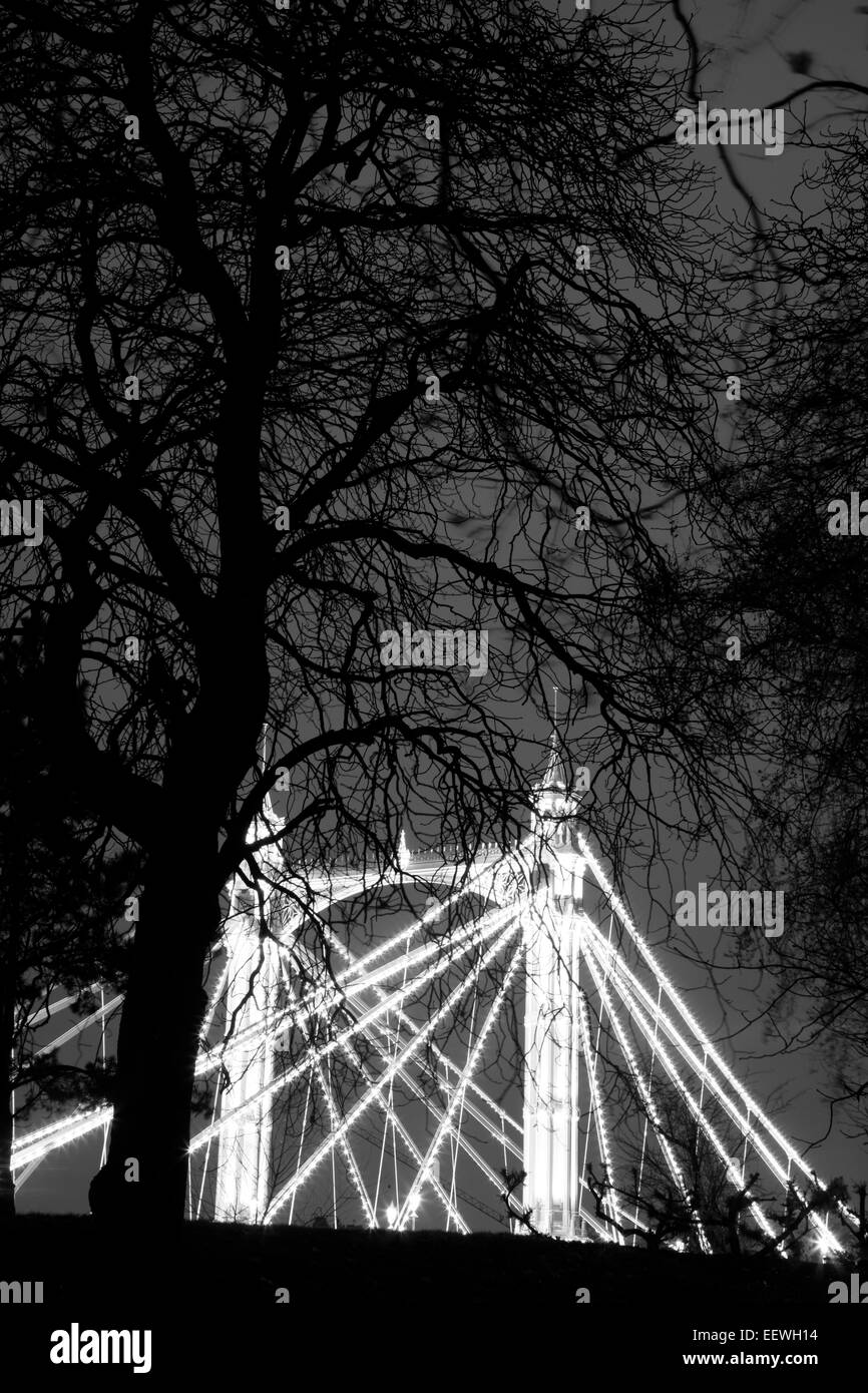 Tempo di notte vista di Albert Bridge visto dal parco di Battersea, Battersea, Londra, Regno Unito Foto Stock