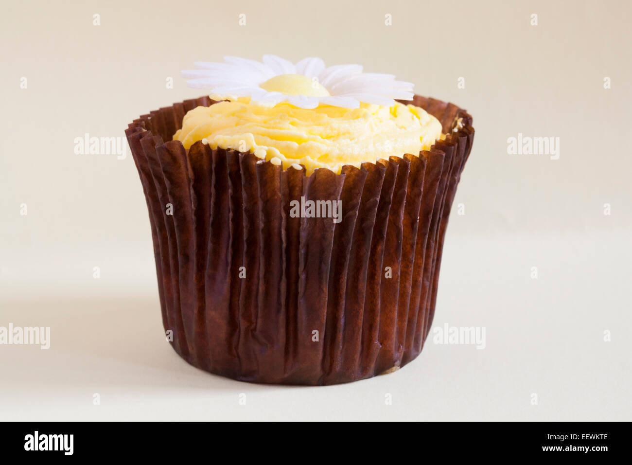 Limone cupcake daisy Foto Stock