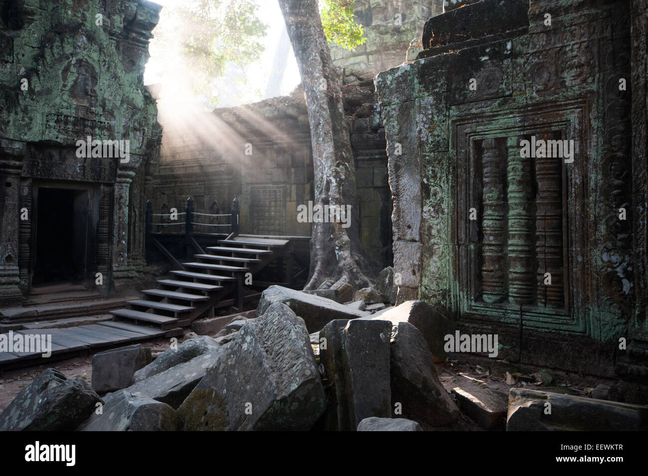 Raggi di mattina presto la luce in corrispondenza di Ta Prohm in rovina , tempio di Angkor Wat , Cambogia Foto Stock