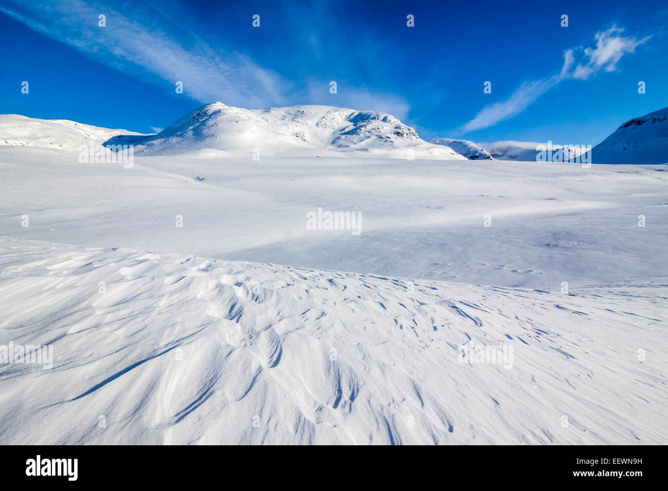 Un paesaggio invernale dalla Lapponia svedese Foto Stock