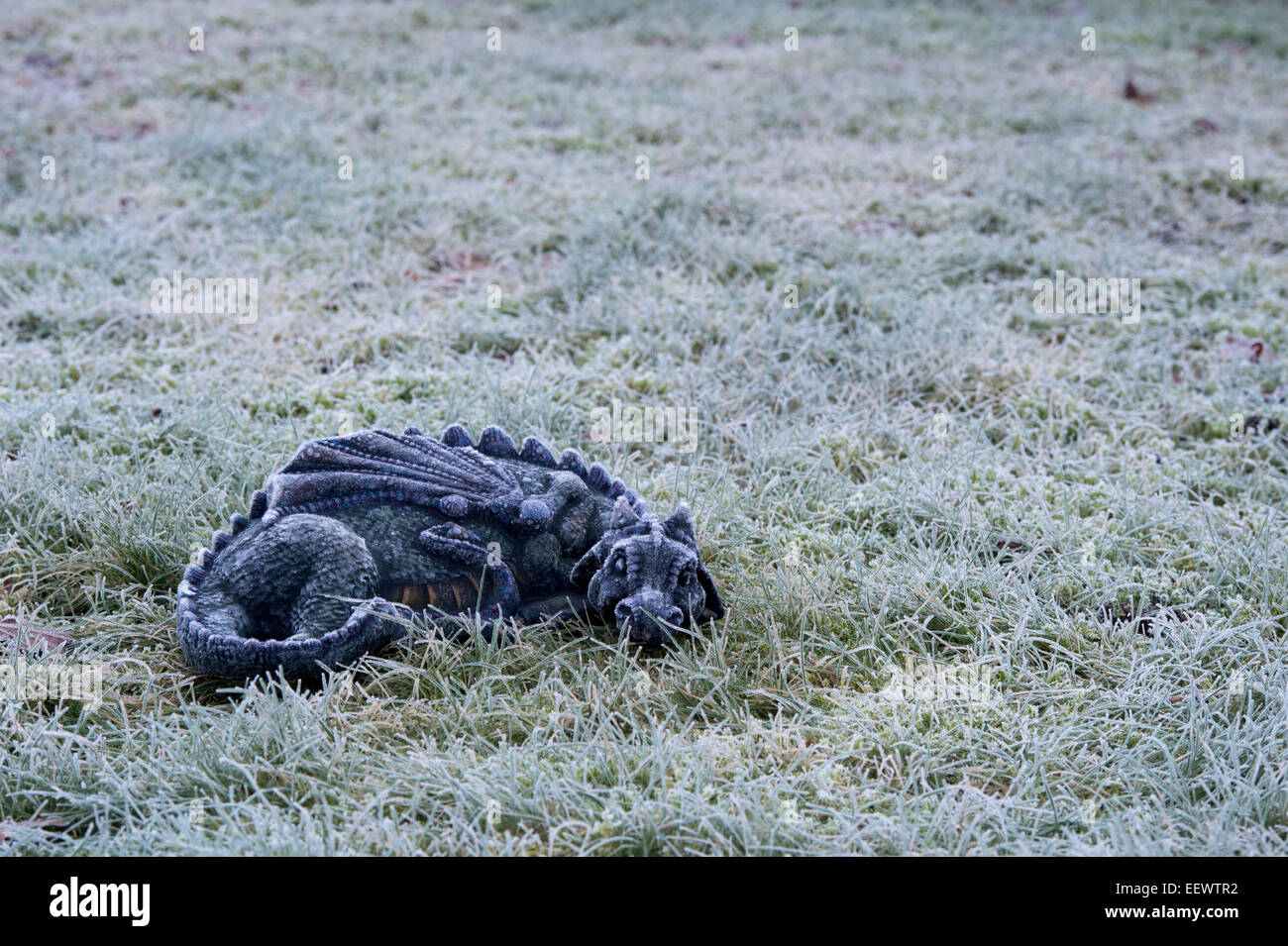 Frosty Sleeping Dragon sull'erba Foto Stock