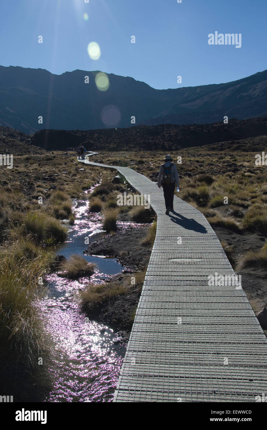 Il camminatore femmina sul lungomare, Tongariro Crossing Foto Stock