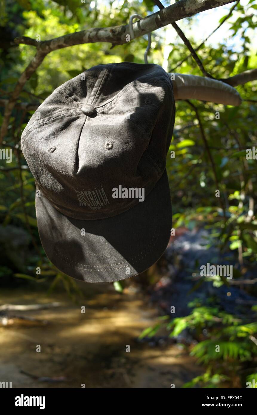 Un cappuccio Australia appeso a un ramo di albero su un imbottito per appendiabiti nei pressi di una cascata Foto Stock