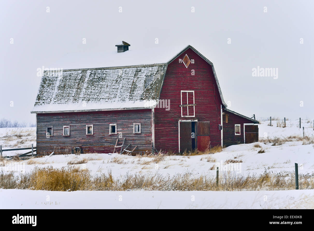 Un granaio rosso su una fattoria abbandonata nelle zone rurali di Alberta in Canada. Foto Stock