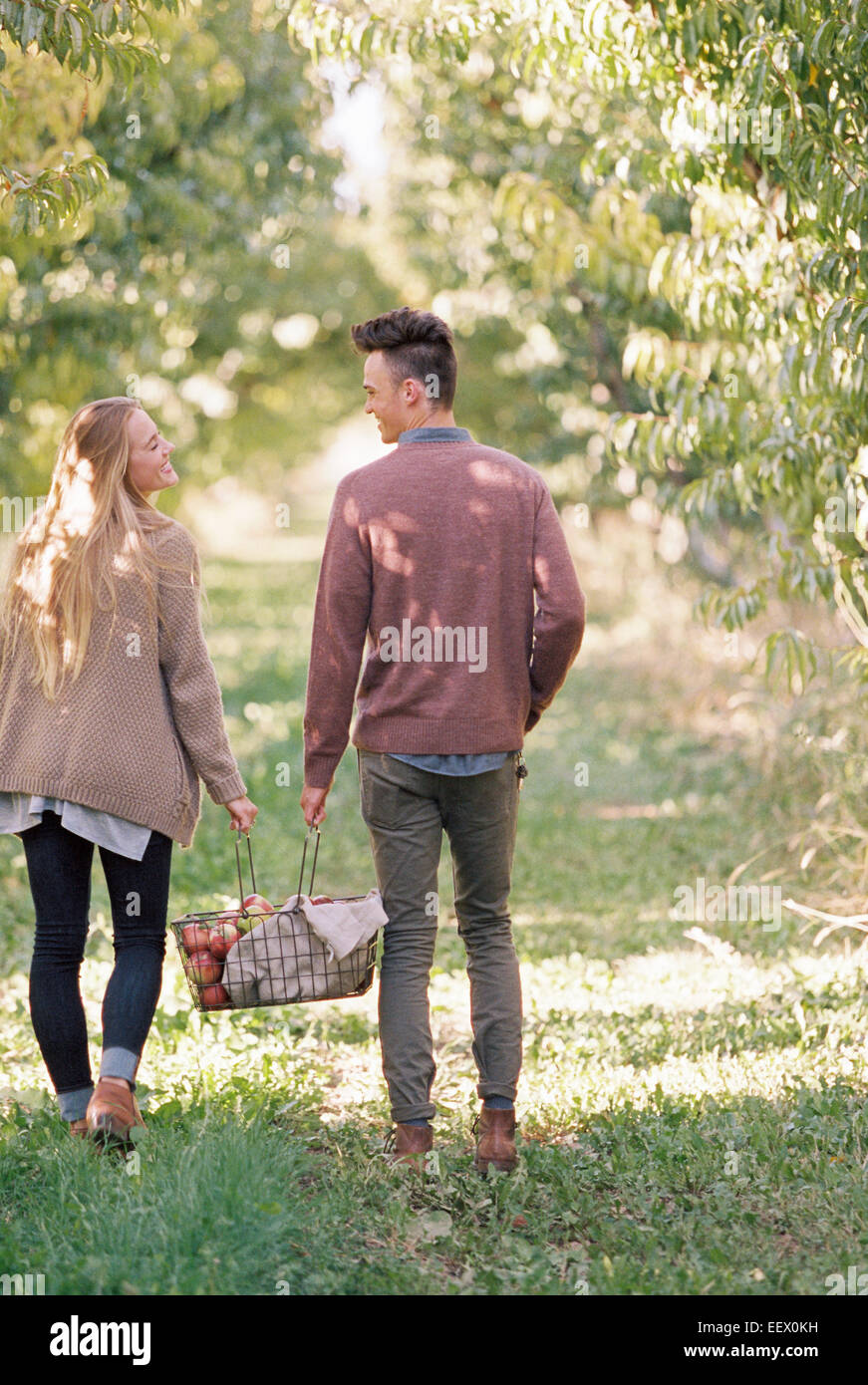 Apple Orchard. Matura portante un cesto di mele. Foto Stock