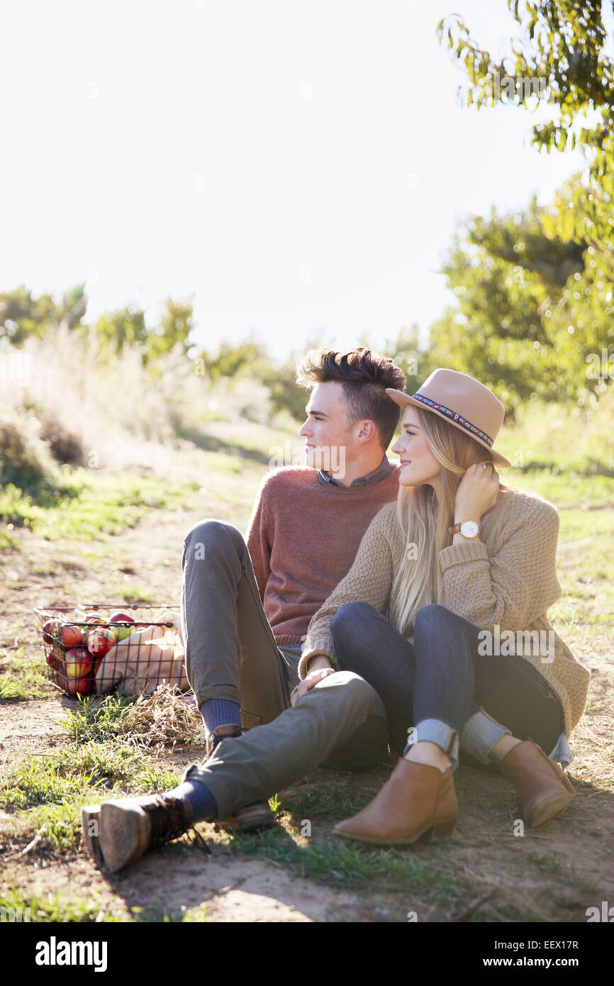 Apple Orchard. Matura un cesto di mele. Foto Stock