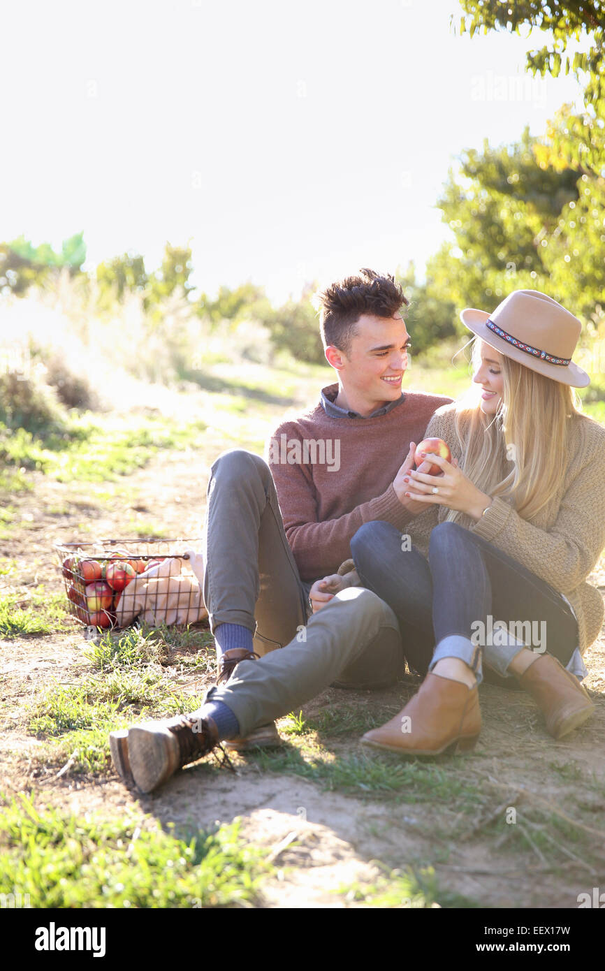 Apple Orchard. Matura un cesto di mele. Foto Stock