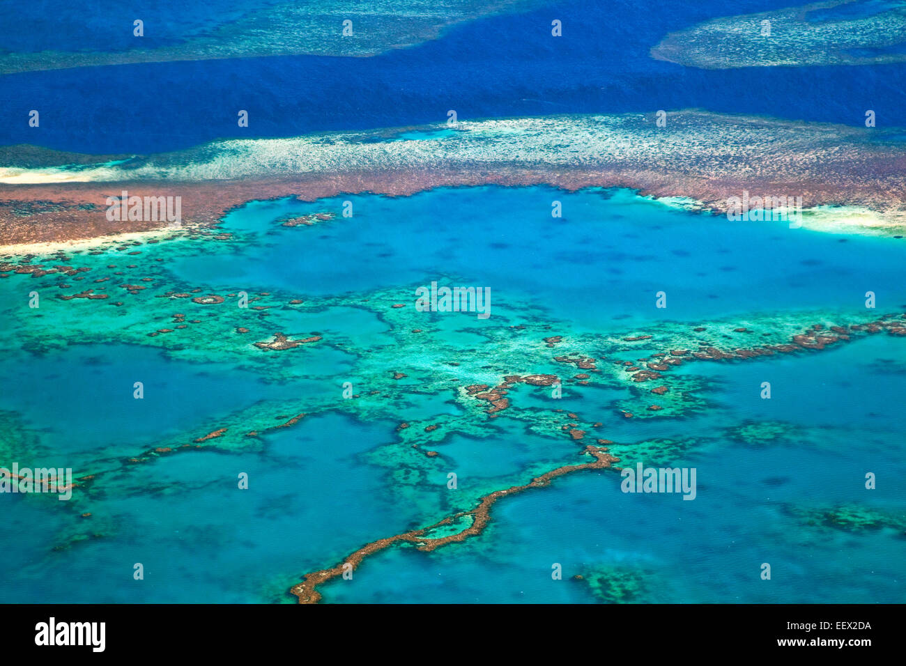 Vista aerea della Grande Barriera Corallina delle Whitsundays in mare di corallo, Queensland, Australia Foto Stock