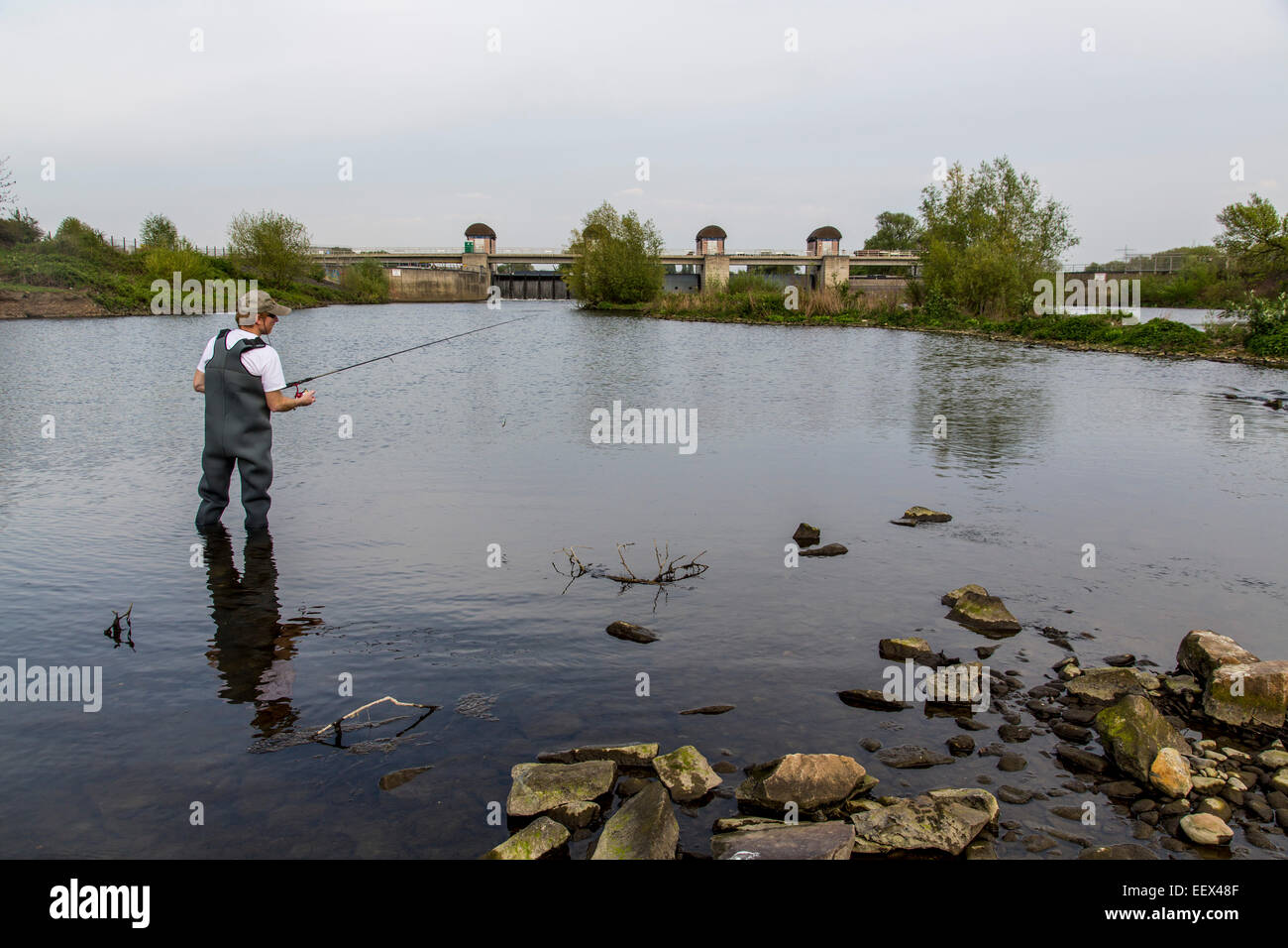 Il pescatore in waders, nel fiume Ruhr Foto Stock