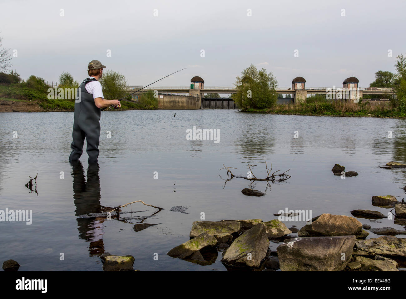 Il pescatore in waders, nel fiume Ruhr, Foto Stock