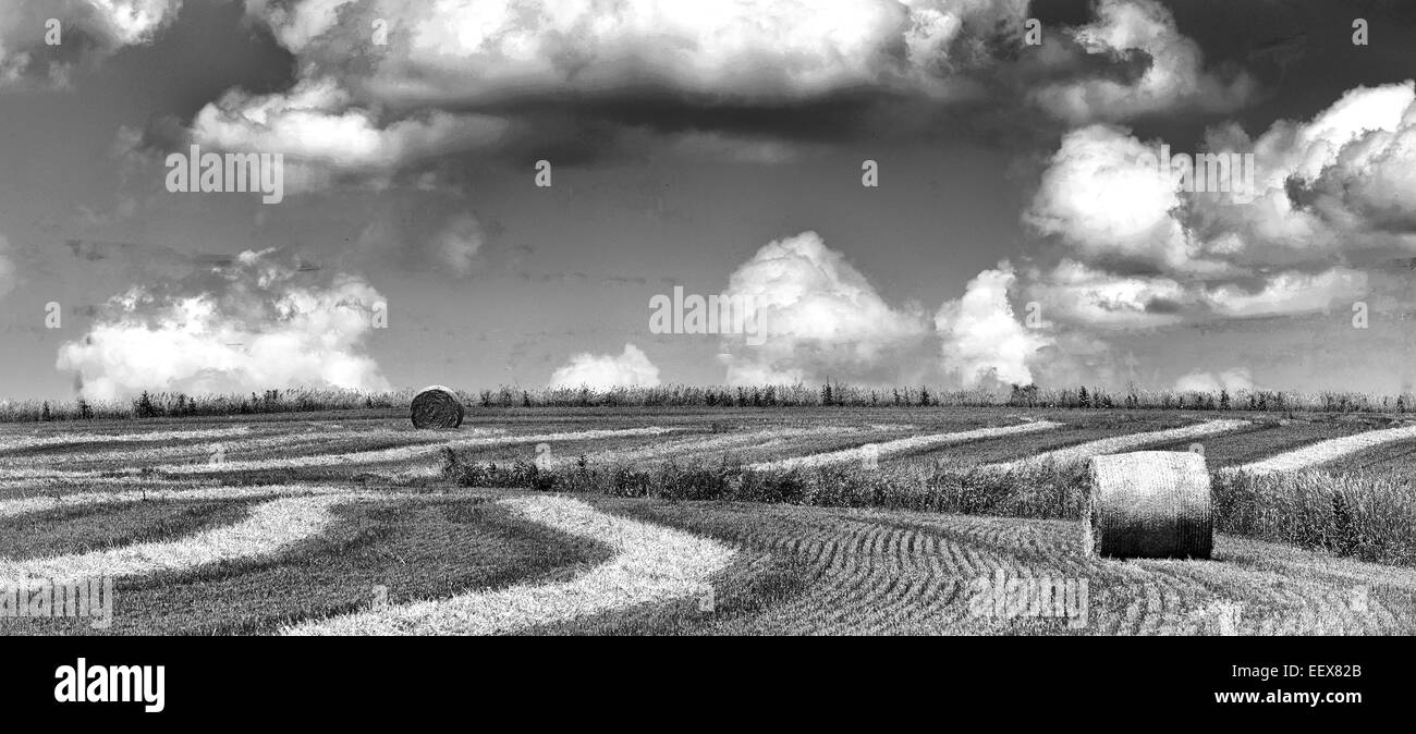 Immagine in bianco e nero di balle di fieno in un campo con un drammatico cielo molto nuvoloso Foto Stock