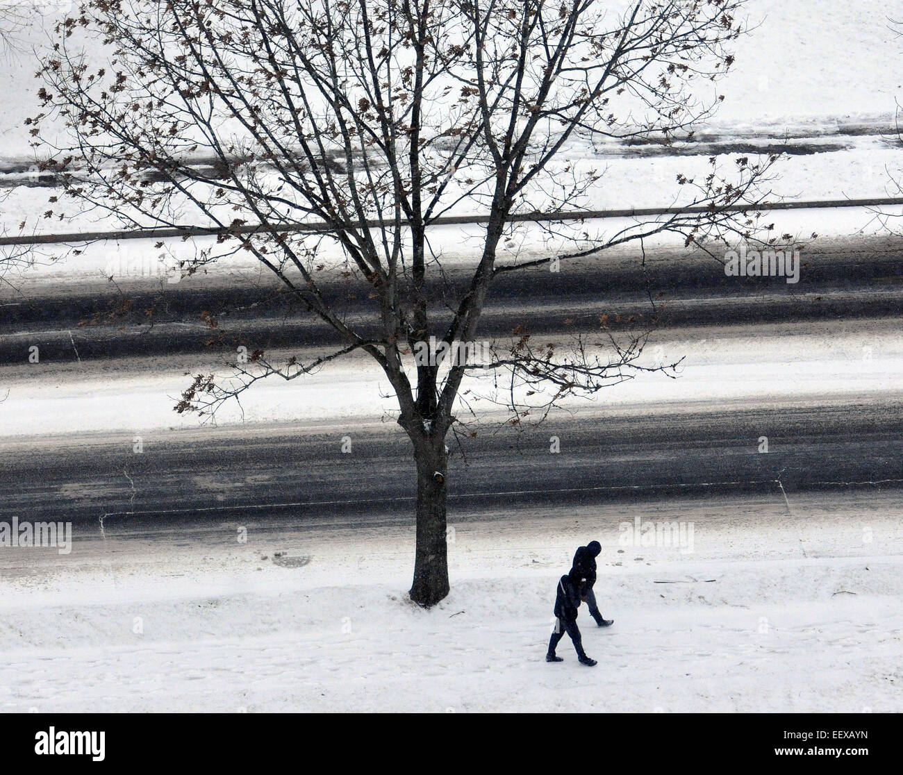 La gente a piedi lungo la strada orientale di New Haven nel corso del sabato della tempesta di neve. Foto Stock