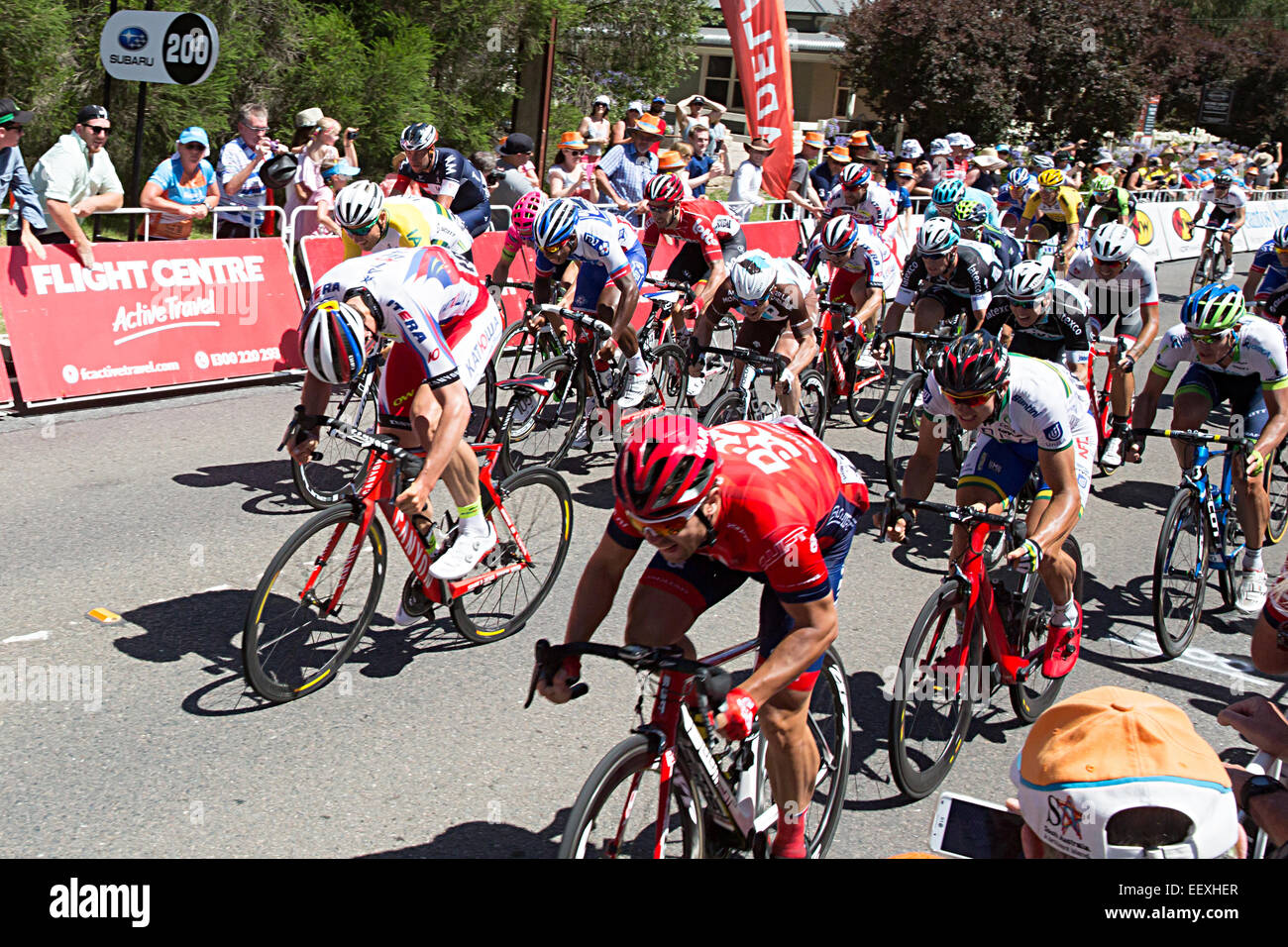 Adelaide, Australia. 23 gen 2015. Piloti carica verso la fine dello stadio 4 del 2015 Tour Down Under. La tappa è stata vinta da Steele Von Hoff dell'UNISA-AUSTRALIA Team. La gara è stata segnata da un crash a 150 metri dal traguardo. Foto Stock