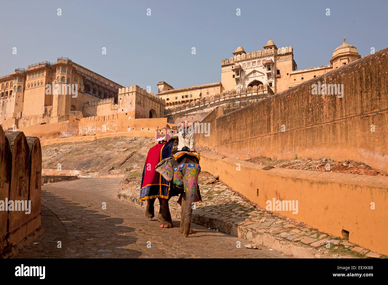 Equitazione elefante per i turisti di fronte al Forte Amber, Jaipur, Rajasthan, India Foto Stock