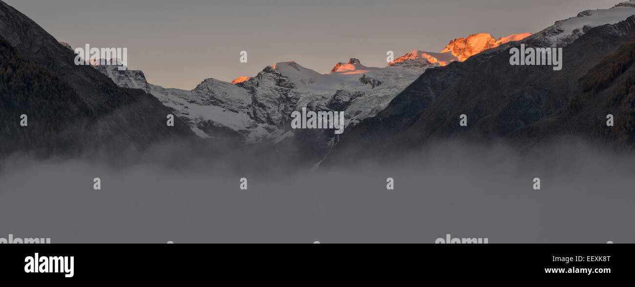 Gruppo di Paradiso di sunrise, alpenglow, con la nebbia nella valle, il Parco Nazionale del Gran Paradiso, Valle di Cogne, Piemonte, Italia Foto Stock