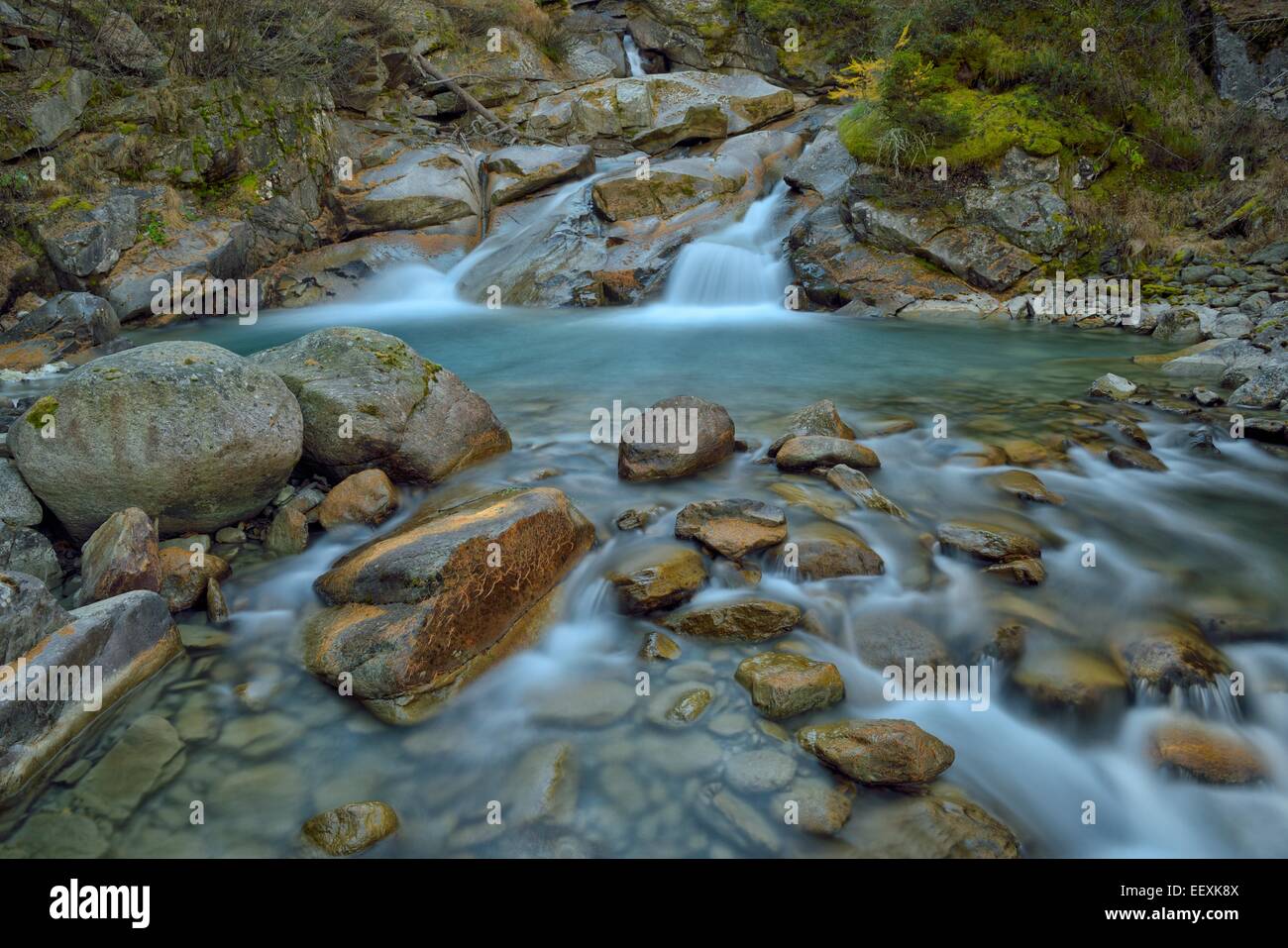Ruscello di montagna con caduti aghi di larice sulle pietre, il Parco Nazionale del Gran Paradiso, Valnontey, Piemonte, Italia Foto Stock