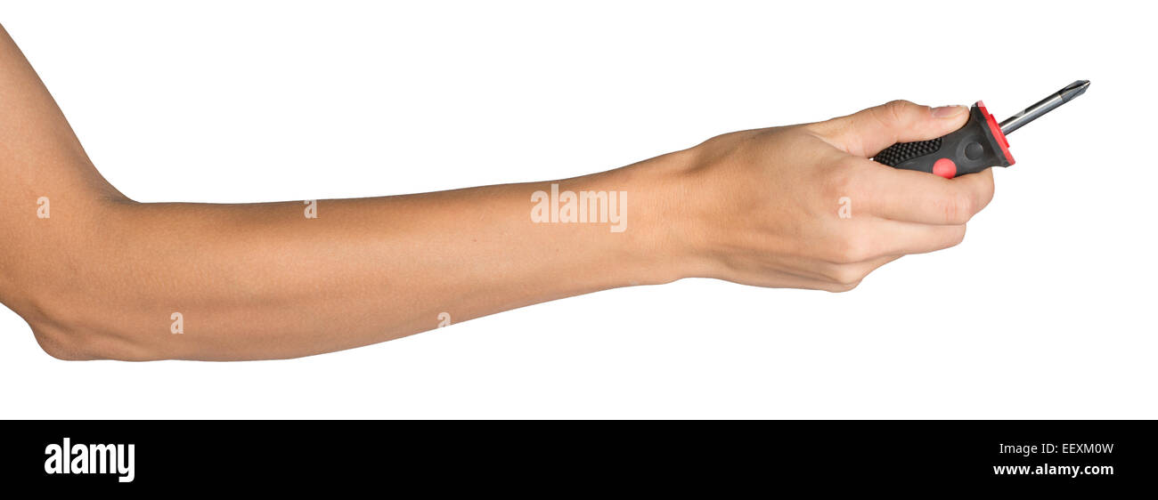 Femmina di mano azienda cacciavite Foto Stock
