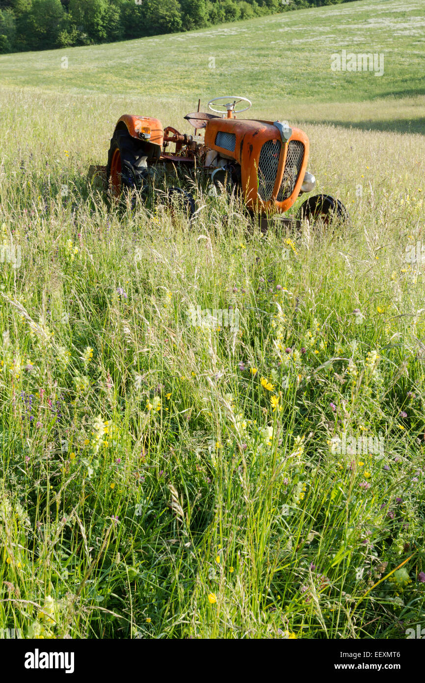 Francia Isere Parc Naturel Regional du Vercors vercors (Parco Naturale Regionale) un vecchio trattore arancione tra i fiori di campo Foto Stock