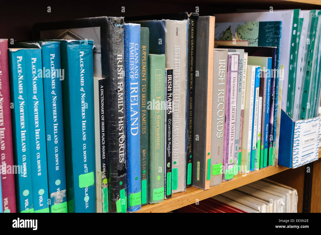 Libri sulla famiglia irlandese Storia e Genealogia ricerca in una libreria di Belfast Foto Stock