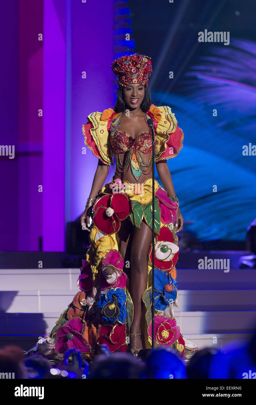 Miami, FL, Stati Uniti d'America. Xxi gen, 2015. Miami, FL - Jan 21: Miss Haiti Chritie Desir visualizza il suo costume nazionale al 2015 Miss Universo costume nazionale caso di FIU Arena on gennaio 21, 2015 a Miami, FL. Photo credit: Andrea, Patrono © Andrew patrono/ZUMA filo/Alamy Live News Foto Stock