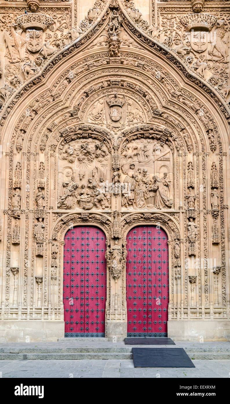 Porta doppia dettagliatamente la nuova cattedrale, Salamanca Castiglia e Leon, Spagna Foto Stock