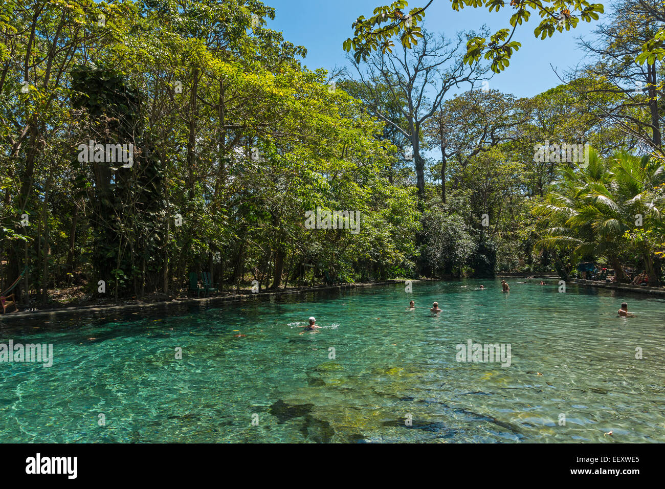 Chiare acque sorgive di La Presa Ojo de Aqua pool vicino a Santo Domingo sulla costa est; Omotepe Island, il lago Nicaragua Nicaragua Foto Stock