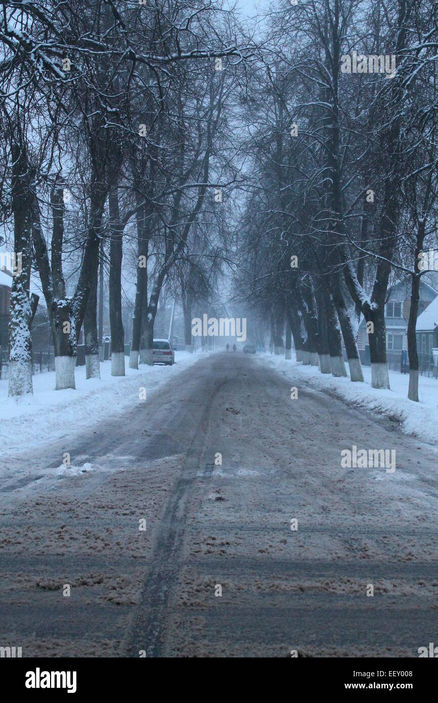 Inverno lungo una strada di città con due corsie di alberi su entrambi i lati Foto Stock