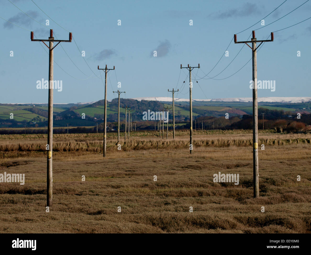 File parallele di pali del telegrafo, Yelland, Devon, Regno Unito Foto Stock