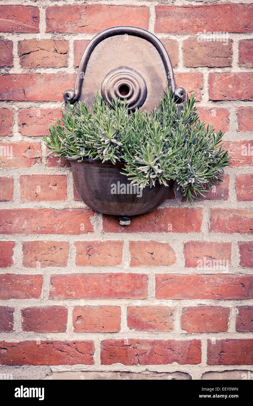 Diversi i fiori e gli oggetti vintage in un vecchio cortile da primavera vicino a Coburg, Germania Foto Stock
