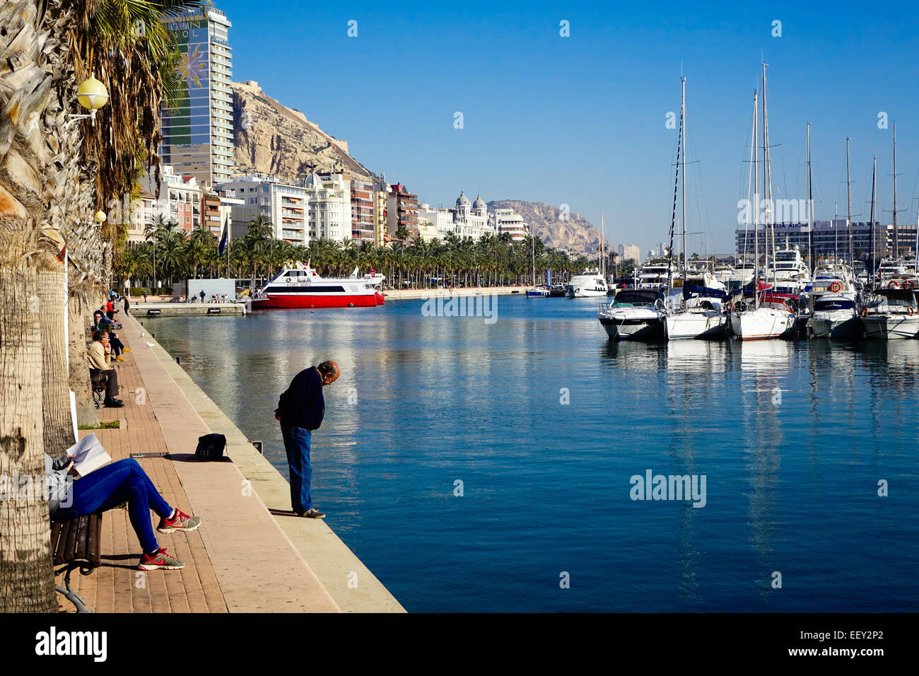 Alicante spagna harbour con il blu del mare e del cielo e le palme Foto Stock