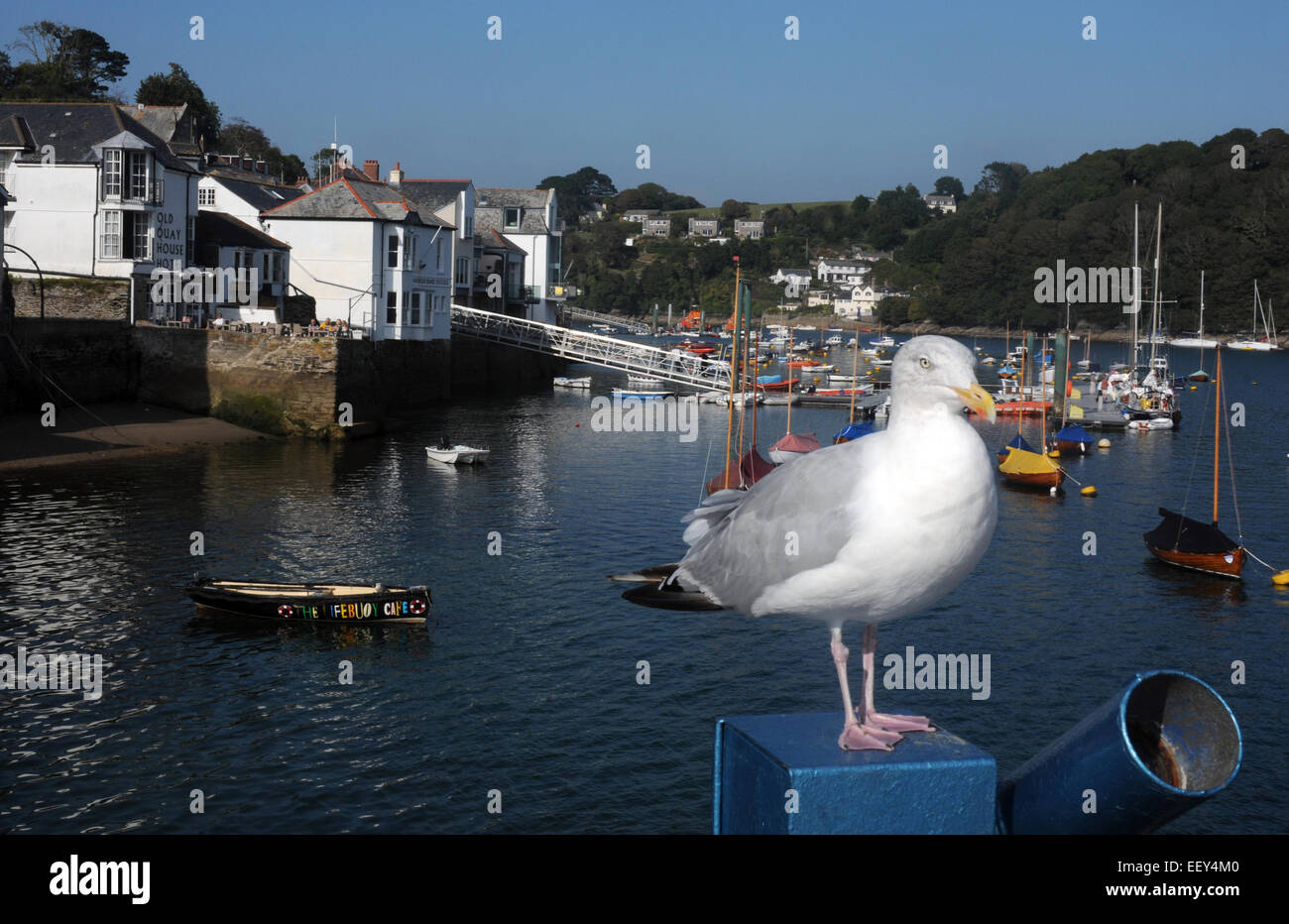 La città di Fowey e l'estuario Fowey Cornwall Pic Mike Walker, Mike Walker foto Foto Stock