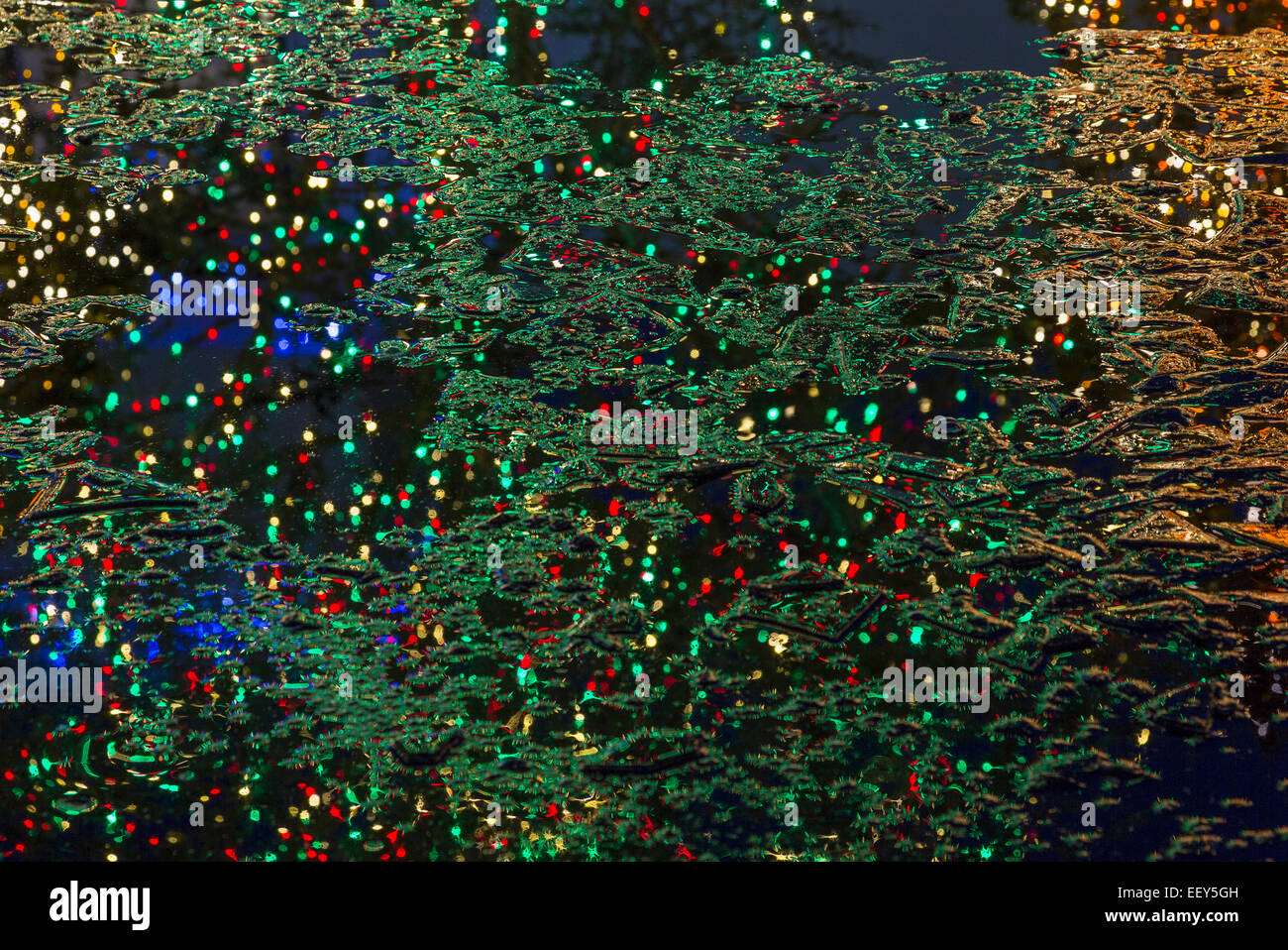 Le luci di Natale e rami di alberi di Natale la riflessione in un lago Foto Stock