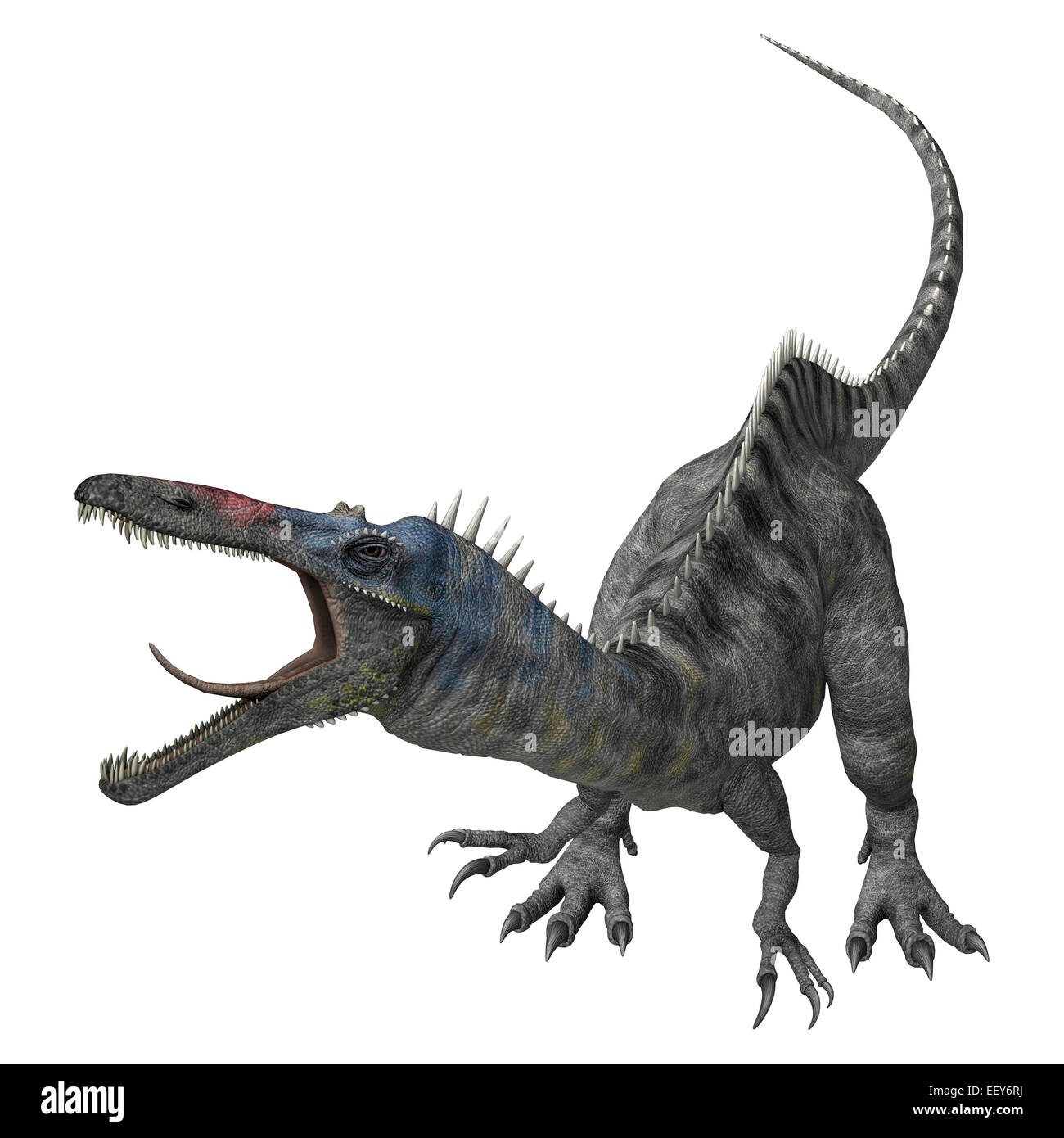 3D render digitale di un aggressivo dinosauro Suchomimus o Suchomimus tenerensis isolati su sfondo bianco Foto Stock