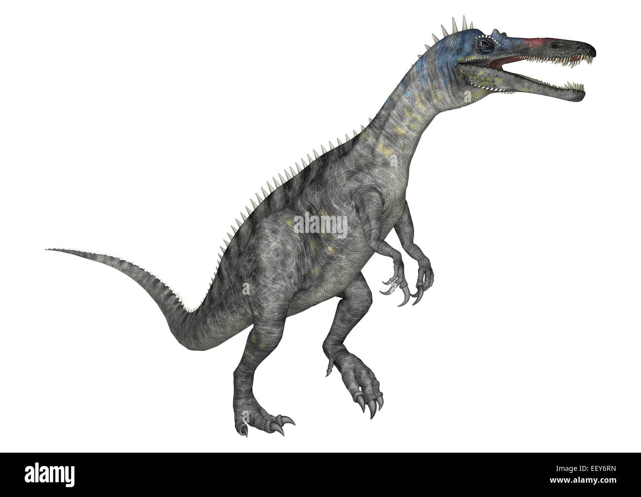 3D render digitale di un dinosauro Suchomimus o Suchomimus tenerensis isolati su sfondo bianco Foto Stock
