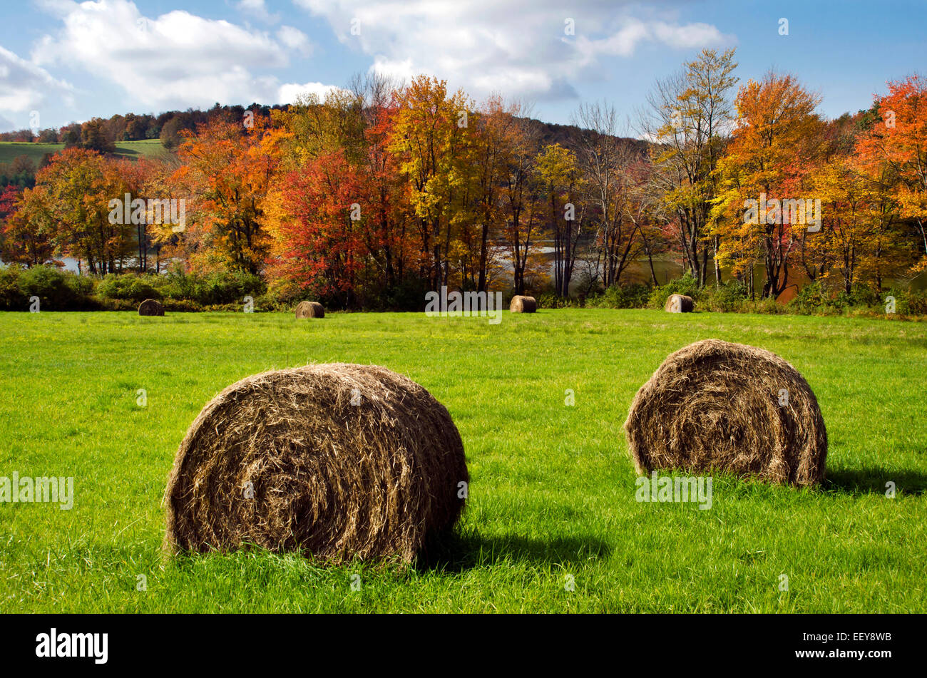 Balle di fieno nel campo paese paesaggio panoramico in smithville chenango county upstate new york, Stati Uniti d'America. Foto Stock