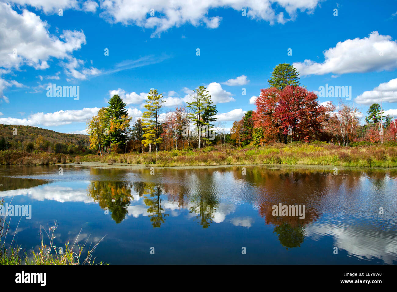 Scenic autumn landscape caduta delle foglie il lago di riflessione nel punto di Whitney, broome county southern tier regione upstate new york, Stati Uniti d'America. Foto Stock