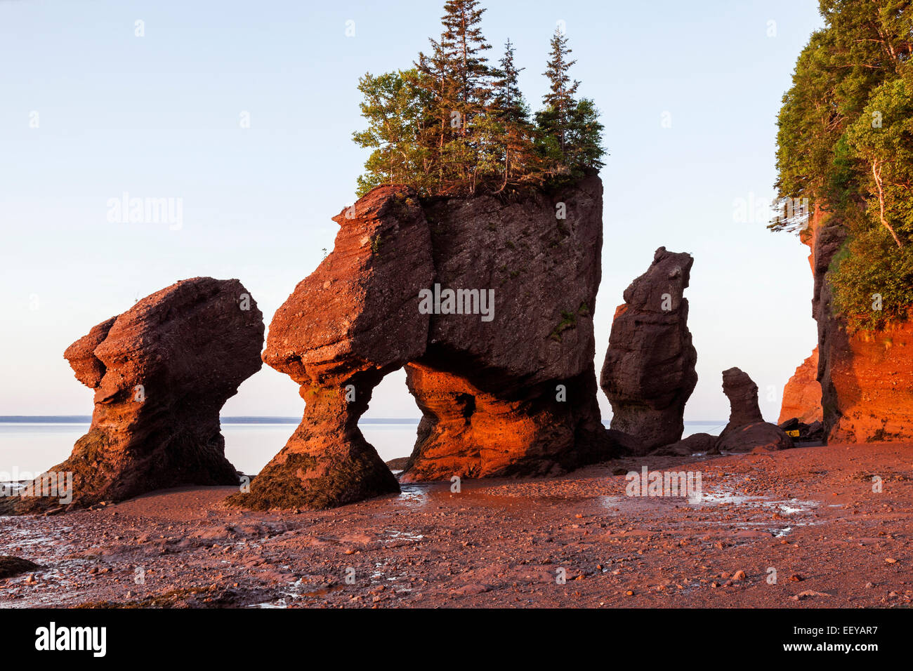 Canada, New Brunswick, Moncton, Hopewell rocce con alberi in cima all'alba Foto Stock