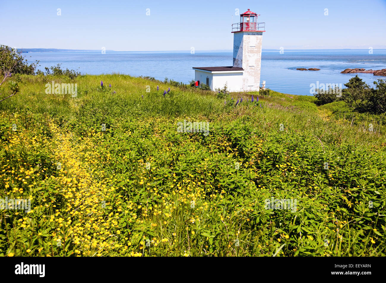 Canada, New Brunswick, Quaco Capo Faro in prato e orizzonte su mare Foto Stock