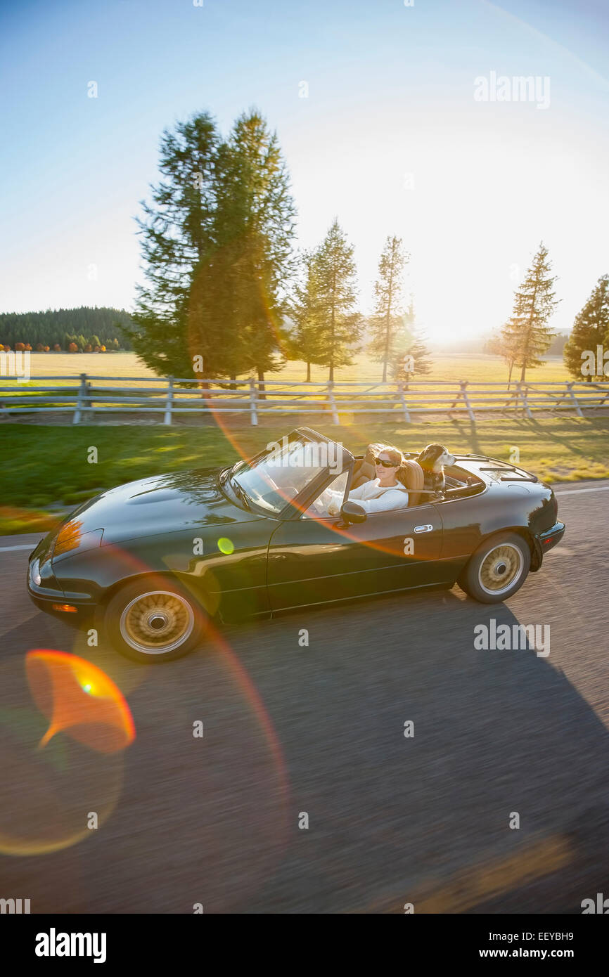 Stati Uniti d'America, Montana, donna alla guida di autovettura convertibile con il cane sul sedile posteriore Foto Stock