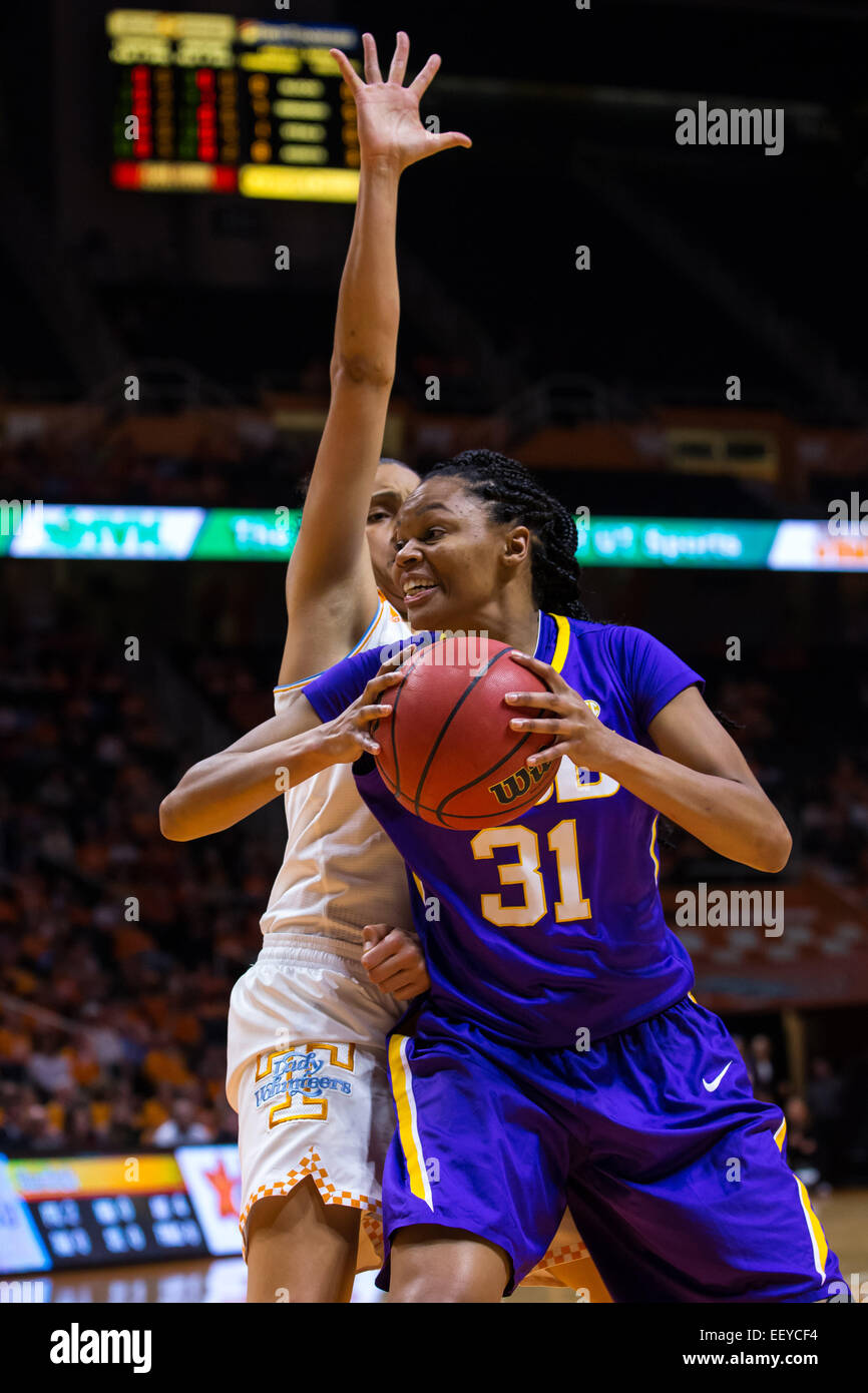 22 gennaio 2015: Ann Jones #31 della LSU Tigers tenta di sparare la palla mentre è difeso da Cierra Burdick #11 del Tennessee Lady volontari durante il NCAA pallacanestro tra la University of Tennessee Lady volontari e l'Università dello stato della Louisiana Lady Tigers a Thompson Boling Arena a Knoxville TN Foto Stock