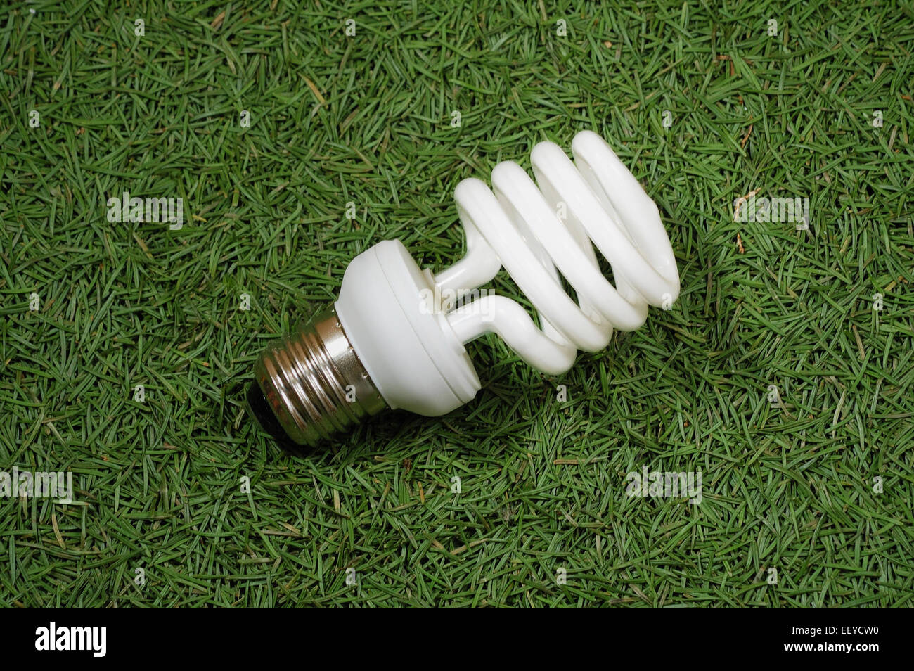 Risparmio energetico lampada omni su aghi di conifere sfondo Foto Stock