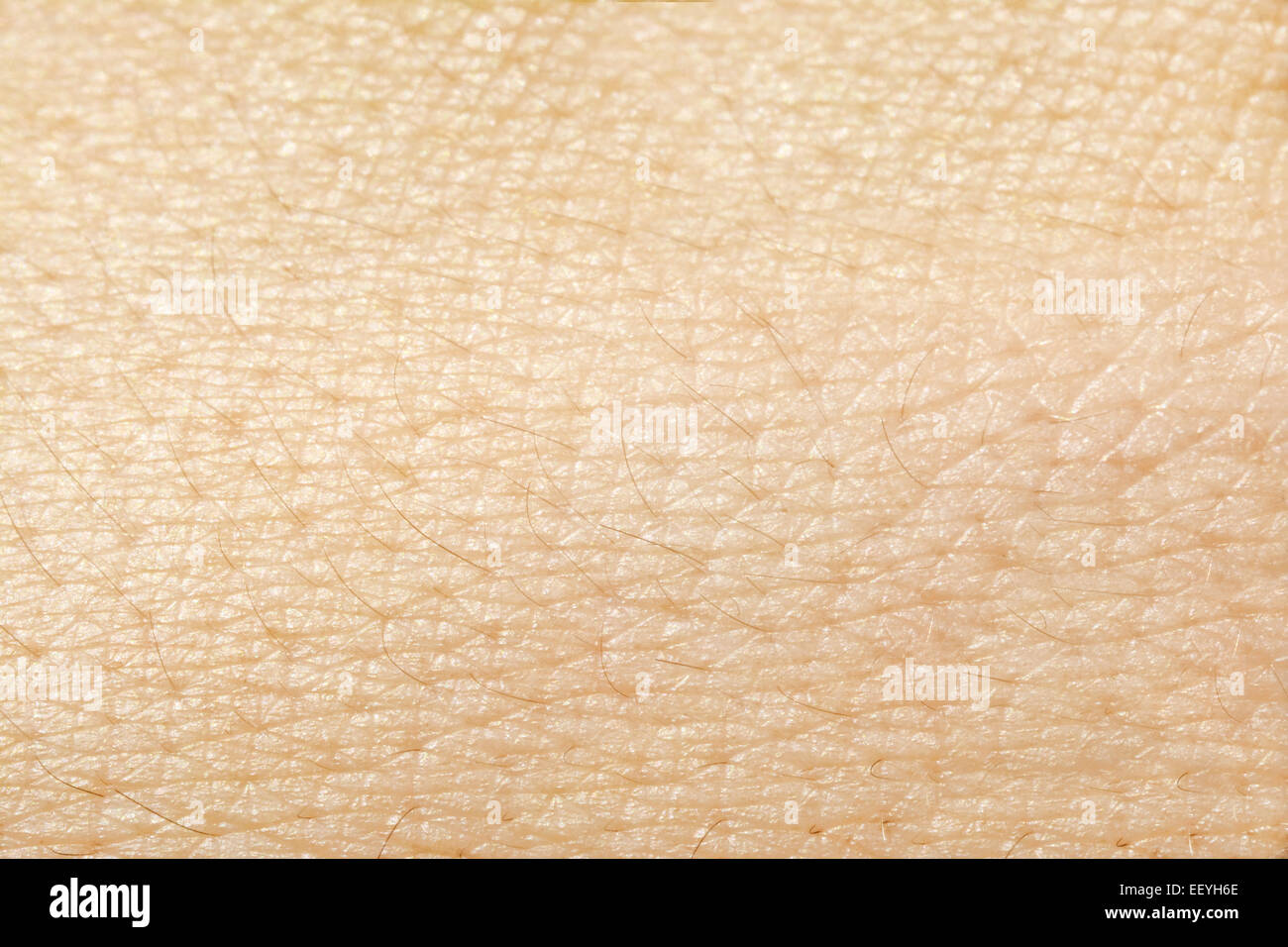 La pelle umana texture closeup dettaglio Foto Stock