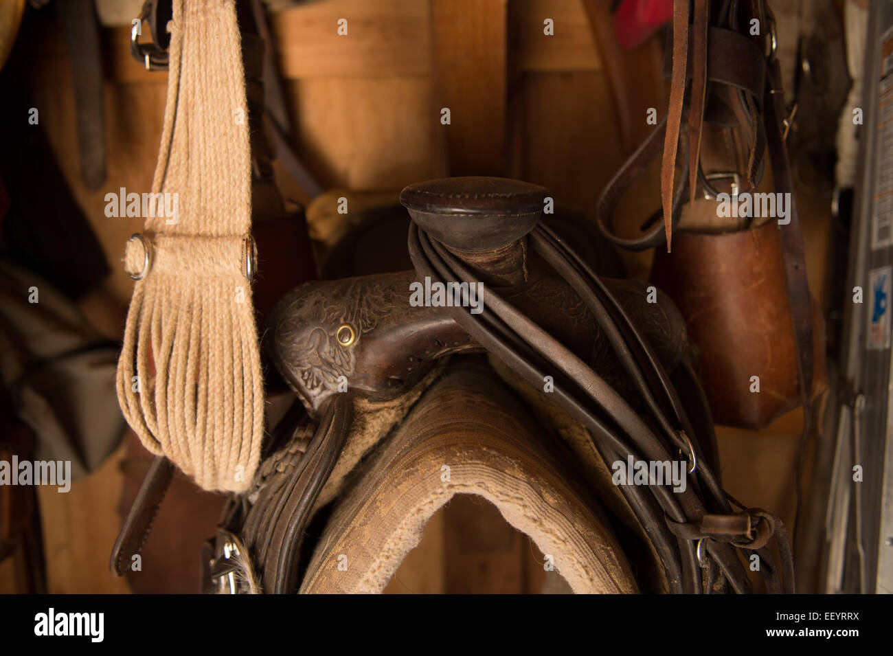 Selle ed altra attrezzatura per cavalli appendere nel granaio dell'Artemis acri Guest Ranch vicino a Kalispell, Montana. (Foto di Ami vitale) Foto Stock