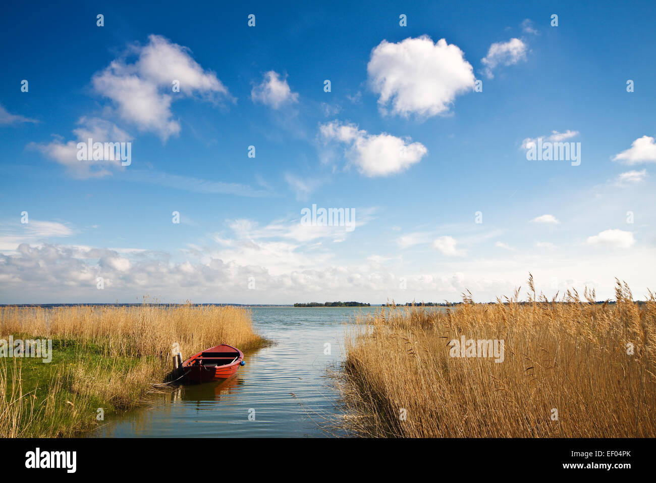 Paesaggio sulle sponde di un lago in Germania Foto Stock