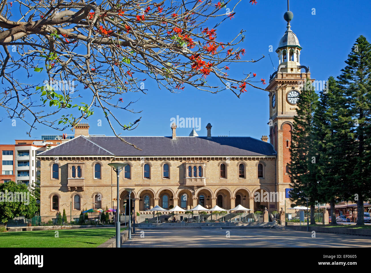La vecchia casa doganale, ora ristorante nel centro di Newcastle, Nuovo Galles del Sud, Australia Foto Stock