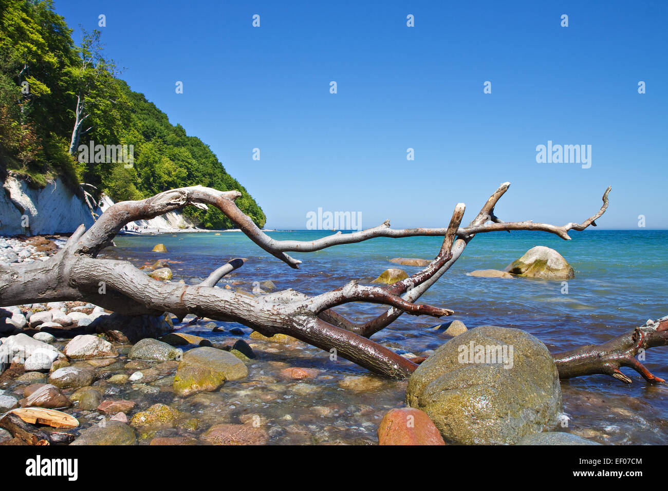 Sulla costa del Mar Baltico di Rügen (Germania). Foto Stock