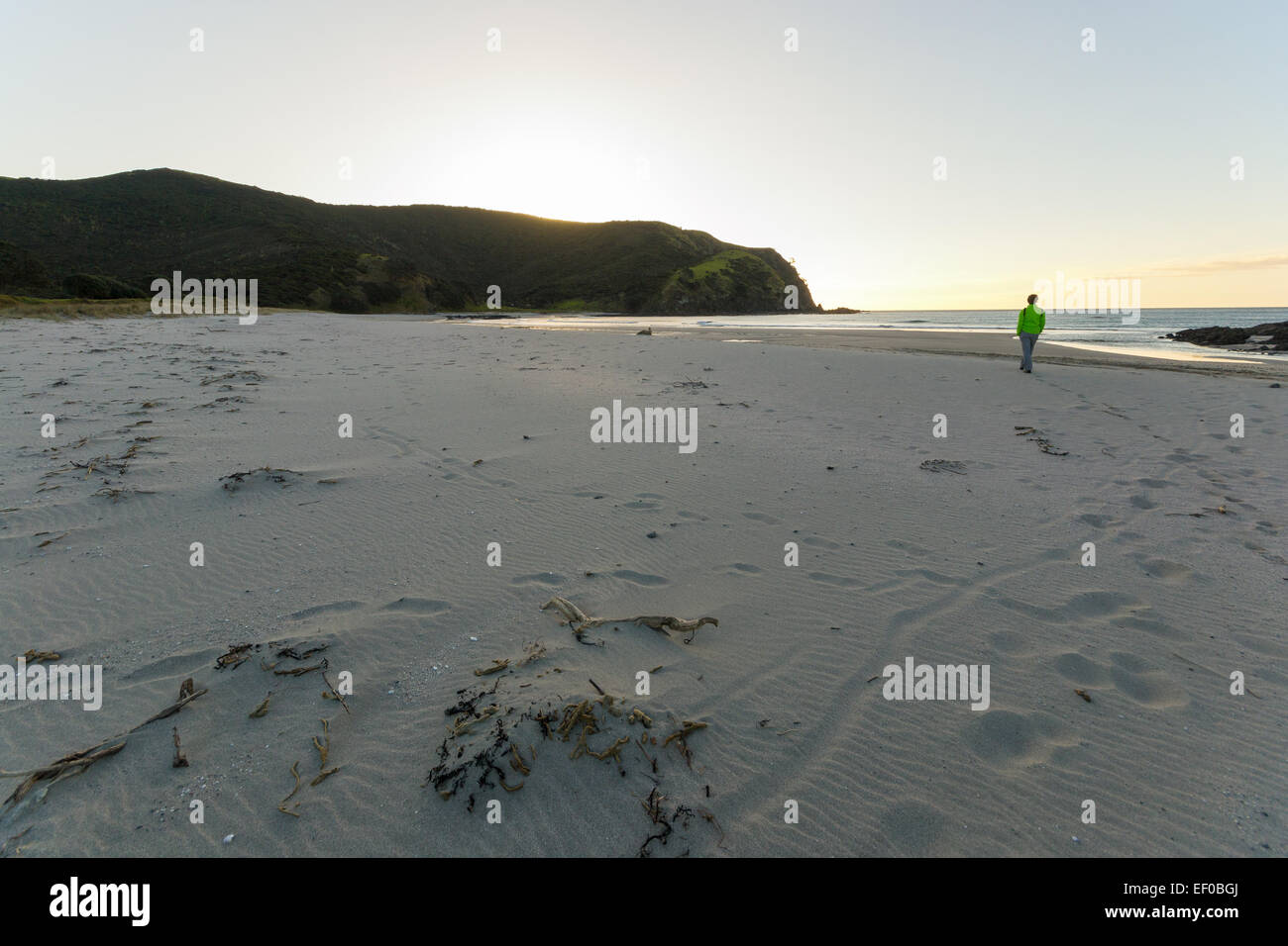 La Scenic spiaggia sabbiosa di Cape Reinga nel lontano nord, Nuova Zelanda. Un turista a piedi nella stagione invernale al tramonto. Retroilluminazione. Foto Stock