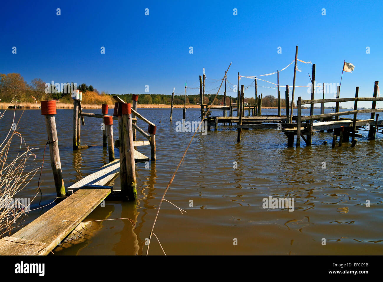 Sulla laguna di acqua stagnante di Usedom. Foto Stock